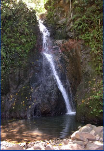 plunge pool